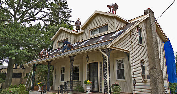 Best Roof Waterproofing Services  in Mount Carmel, OH