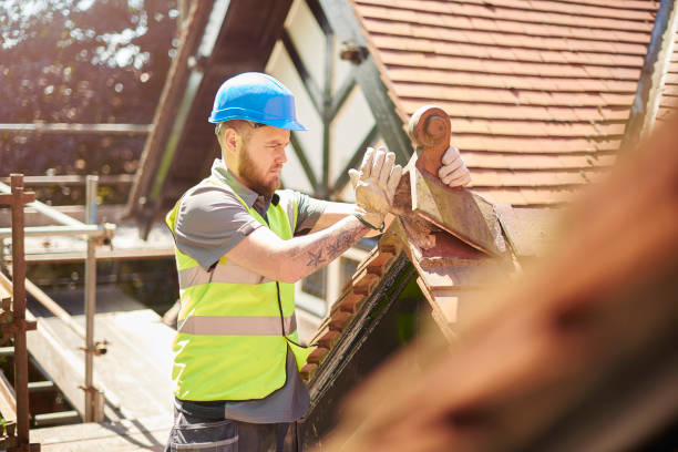 Best Gutter Installation and Roofing  in Mount Carmel, OH